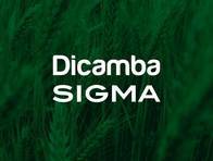 Herbicida Dicamba Sigma - Sigma Agro