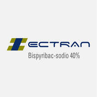 Herbicida Ectran - Bispyribac-Sodio 40% Agrofina