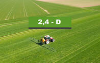 Herbicida Enlist 2,4 D - Dow Agrosciences
