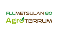 Herbicida Flumetsulan 80 Agroterrum