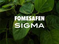 Herbicida Fomesafen Sigma - Sigma Agro