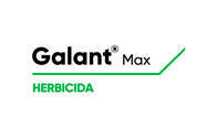 Herbicida Galant Max Haloxifop P Metil - Corteva