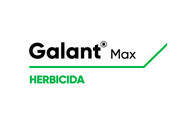 Herbicida Galant ® Max Haloxifop P metil - Corteva