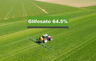 Herbicida Glifosato 64.5% Potenza Full Xtra