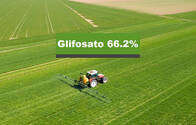 Herbicida Glifosato 66.2% March II