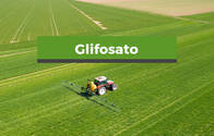 Herbicida Glifosato 70%