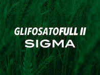 Herbicida Glifosato Full Ii Sigma X 20 Lts