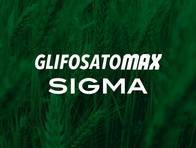 Herbicida Glifosato Max Sigma - Sigma Agro
