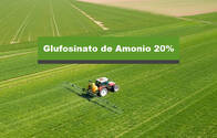Herbicida Liberty Glufosinato de Amonio 20%