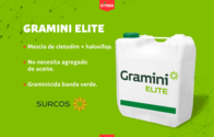 Herbicida Gramini Elite Surcos