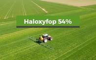 Herbicida Haloxifop 54