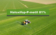 Herbicida Haloxifop-P-metil 81% Halox 81