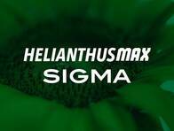 Herbicida Helianthus Max Sigma