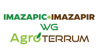 Herbicida Imazapic + Imazapir Agroterrum