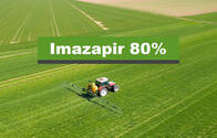 Herbicida Imazapir 80% Katrin 80