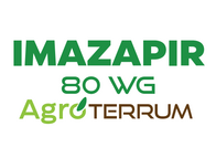 Herbicida Imazapir 80 Wg Agroterrum