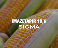 Herbicida Imazetapir 10,6 Sigma - Sigma Agro