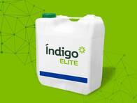Herbicida Indigo Elite Imazetapir