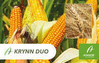 Herbicida Krynn Duo 2,4-D