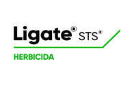Herbicida Ligate ® STS ®