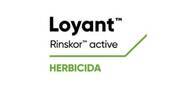 Herbicida Loyant® Florpyrauxifen benzyl - Corteva 