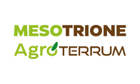 Herbicida Mesotrione Agroterrum