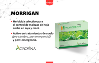 Herbicida Morrigan Agrofina
