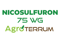 Herbicida Nicosulfuron 75 Wg Agroterrum