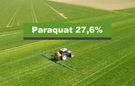 Herbicida Paraquat 27,6% Secafol