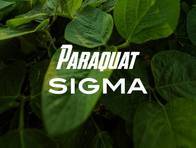 Herbicida Paraquat Sigma - Sigma Agro