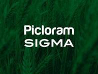 Herbicida Picloram Sigma - Sigma Agro