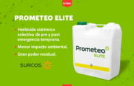 Herbicida Prometeo Elite Surcos