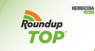 Herbicida Roundup Top