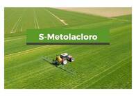 Herbicida S-Metolacloro