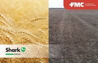 Herbicida Shark 40 C Carfentrazone etil - FMC 