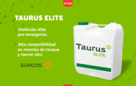 Herbicida Taurus Elite Surcos