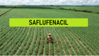 Herbicida Saflufenacil