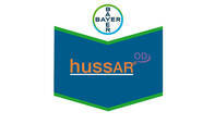Herbicida Hussar® Iodosulfuron + Metsulfuron - Bayer 