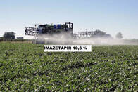 Herbicida Imazetapir 10,6% Post Emergente X 20Lt
