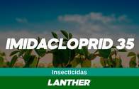Insecticida Imidacloprid 35 SC - Lanther Quimica