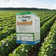 Inoculante para soja + Fungicida - Phoebus Pack Sistemico - AgroAdvance