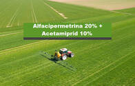 Insecticida Fastac Duo Alfacipermetrina 20% Acetamiprid 10%
