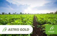 Insecticida Astris Gold Alb