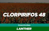 Insecticida Clorpirifos 48 - Lanther Quimica