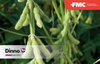 Insecticida Dinno Dinotefuran - FMC
