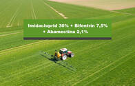 Insecticida Imida 30% Bifentrin 7,5% Abamectina 2,1% Boomer