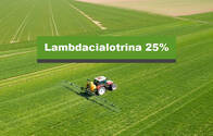 Insecticida Lambdacialotrina 25% Cialotrin