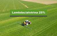Insecticida Lambdacialotrina 25%