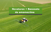 Insecticida Novaluron Benzoato de emamectina 18,8% Eminent