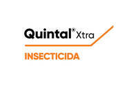 Insecticida Quintal ® Xtra  - Corteva 